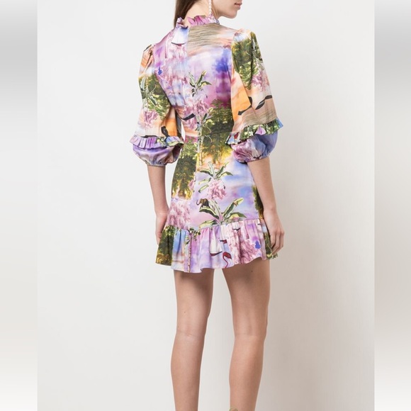 CYNTHIA ROWLEY Catalina ruffle mini dress - Picture 3 of 7